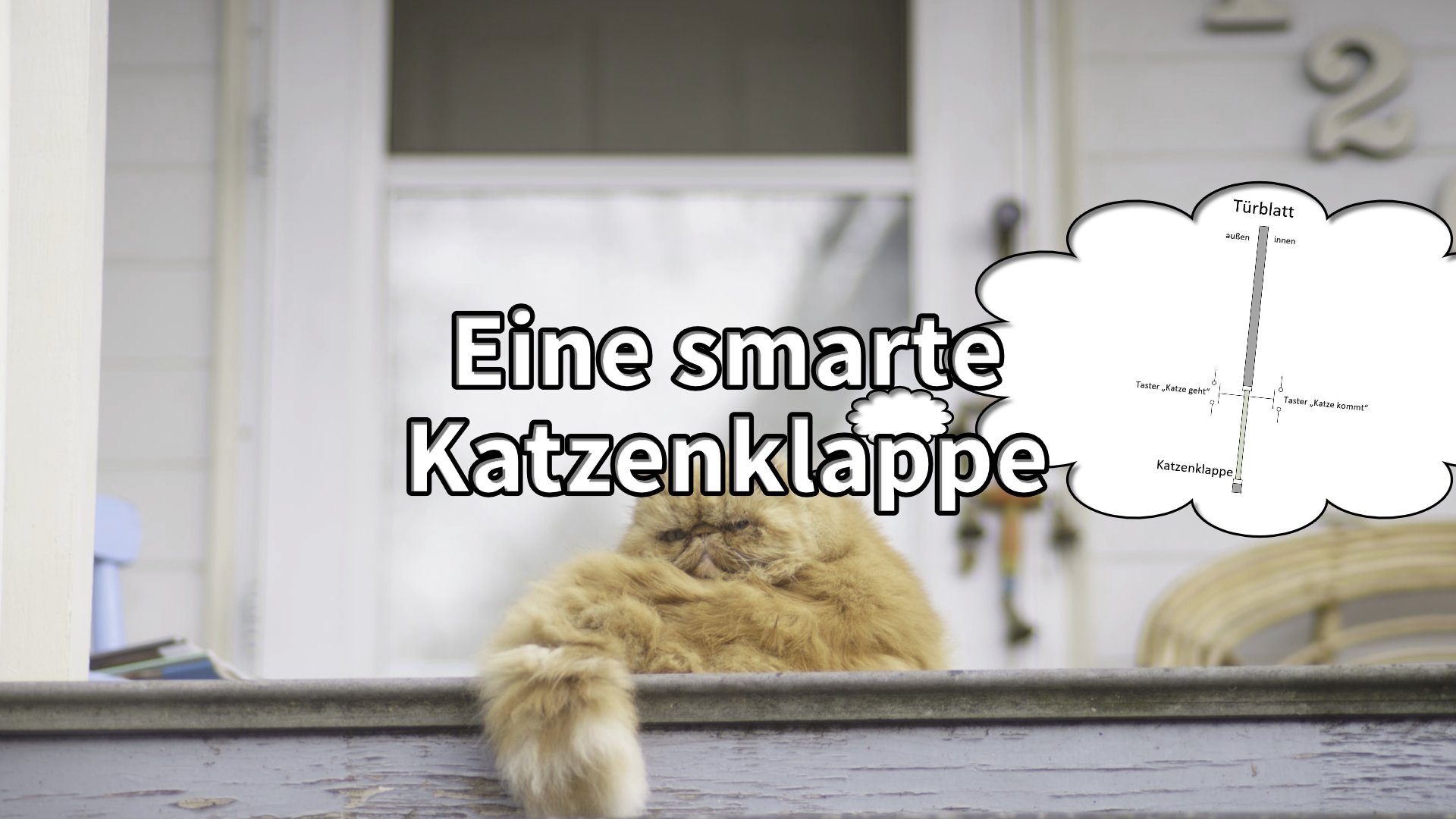 Eine smarte Katzenklappe - AZ-Delivery